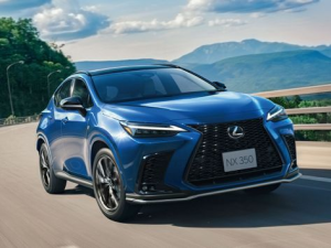 Lexus NX350 (AZ20) Джип/SUV 5 дв. 10.2021 -  н.в.