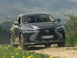 Lexus NX450h+ (AZ20) Джип/SUV 5 дв., Гибрид 06.2021 -  н.в.