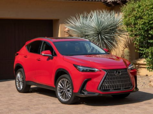 Lexus NX450h+ (AZ20) Джип/SUV 5 дв., Гибрид 06.2021 -  н.в.