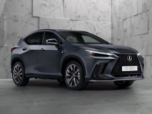 Lexus NX450h+ (AZ20) Джип/SUV 5 дв., Гибрид 06.2021 -  н.в.