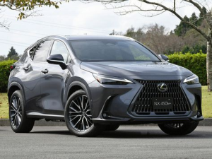 Lexus NX450h+ (AZ20) Джип/SUV 5 дв., Гибрид 10.2021 -  н.в.