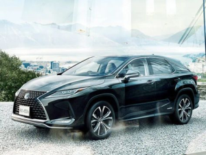 Lexus RX450h (AL20) Джип/SUV 5 дв., Гибрид 08.2019 - 09.2022