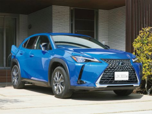 Lexus UX300e Джип/SUV 5 дв. 10.2020 -  н.в.