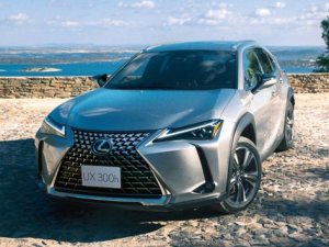 Lexus UX300h Джип/SUV 5 дв., Гибрид 12.2023 -  н.в.