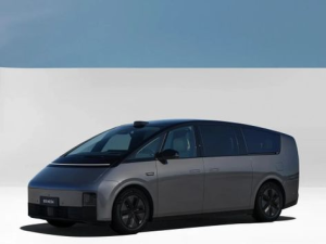 Li Mega Минивэн 10.2023 -  н.в.