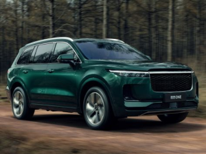 Li ONE Джип/SUV 5 дв., Гибрид 05.2021 - н.в.