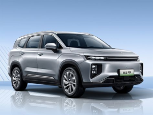 Livan 9 Джип/SUV 5 дв. 06.2022 -  н.в.