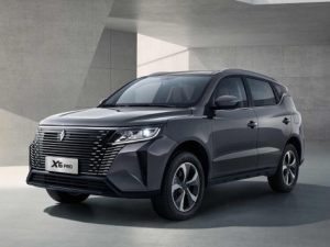 Livan X6 Pro Джип/SUV 5 дв. 09.2023 -  н.в.
