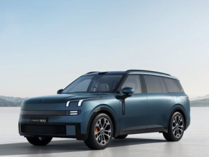 Lynk & Co 900 (L946) Джип/SUV 5 дв., Гибрид 01.2025 -  н.в.