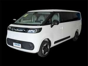 Maxus Dana M1 Минивэн 07.2024 -  н.в.