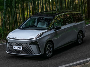 Maxus G70 Минивэн 11.2023 -  н.в.