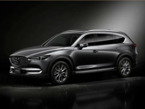 Mazda CX-8 Джип/SUV 5 дв. 09.2017 - 11.2022