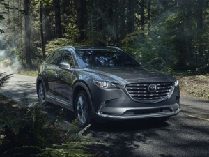 Mazda CX-9 (TC) Джип/SUV 5 дв. 08.2020 - 03.2022