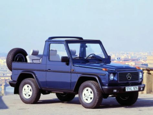 Mercedes-Benz G-Class (W463) Джип/SUV 5 дв. 09.1989 - 06.1994