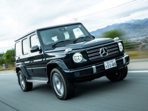 Mercedes-Benz G-Class (W463) Джип/SUV 5 дв. 06.2018 - 06.2024