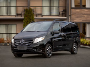 Mercedes-Benz Metris (W447) Минивэн 01.2020 - 06.2023