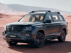 MG RX8 Джип/SUV 5 дв. 09.2019 -  н.в.