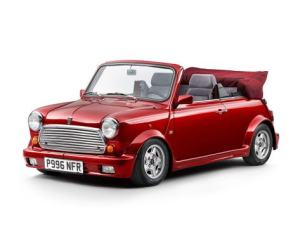 MINI Classic (Mark 6) Открытый кузов 10.1992 - 08.1996
