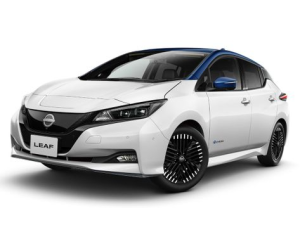 Nissan Leaf (ZE1) Хэтчбек 5 дв. 04.2022 - 09.2025