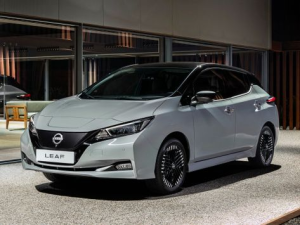 Nissan Leaf (ZE1) Хэтчбек 5 дв. 01.2022 -  н.в.