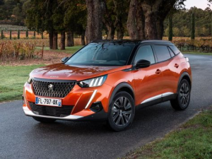 Peugeot 2008 (P24) Джип/SUV 5 дв. 06.2019 - 10.2023