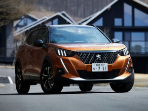 Peugeot 2008 (P24) Джип/SUV 5 дв. 09.2020 -  н.в.