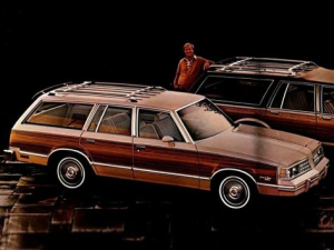 Pontiac Lemans Универсал 09.1980 - 09.1981