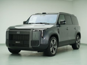 Polar Stone 01 Джип/SUV 5 дв., Гибрид 08.2023 - 12.2025