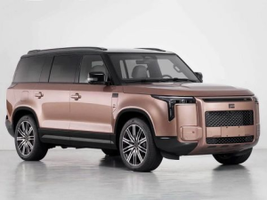 Polar Stone Adamas Джип/SUV 5 дв., Гибрид 12.2025 -  н.в.