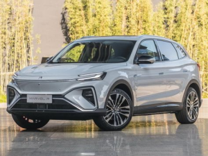 Rising Auto Marvel R Джип/SUV 5 дв. 11.2020 - 11.2022