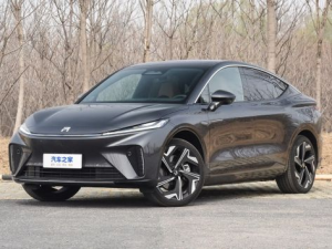 Rising Auto R7 Джип/SUV 5 дв. 04.2022 -  н.в.