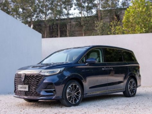 Roewe iMAX8 Минивэн 09.2020 -  н.в.