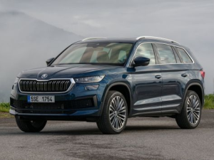 Skoda Kodiaq Джип/SUV 5 дв. 04.2021 - 04.2025