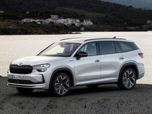 Skoda Kodiaq (NG) Джип/SUV 5 дв. 10.2023 -  н.в.