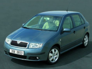 Skoda Fabia (MK1) Хэтчбек 5 дв. 08.2004 - 04.2008