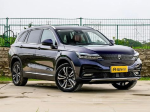 Skywell Skyworth EV6 Джип/SUV 5 дв. 04.2021 - 11.2022