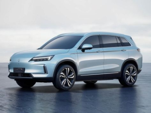 Skywell Skyworth EV6 Джип/SUV 5 дв. 11.2022 -  н.в.