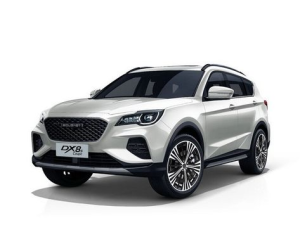 Soueast DX8S Джип/SUV 5 дв. 04.2022 - 12.2023