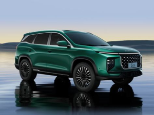 Soueast S09 Джип/SUV 5 дв. 11.2024 -  н.в.