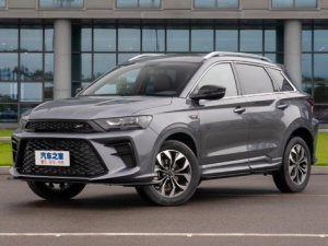 SWM G01FF Джип/SUV 5 дв. 11.2018 -  н.в.