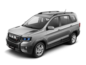 SWM G03F Джип/SUV 5 дв. 08.2022 -  н.в.