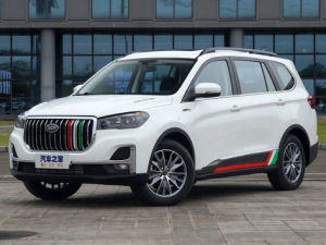 SWM G05 Pro Джип/SUV 5 дв. 10.2020 - 05.2022