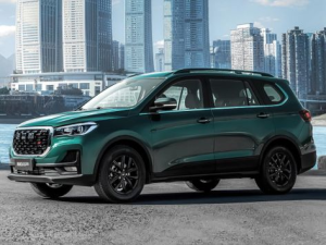 SWM G05 Pro Джип/SUV 5 дв. 06.2022 -  н.в.