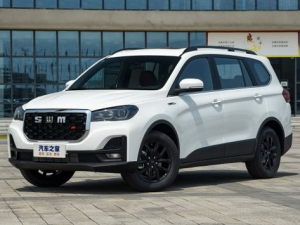 SWM G05 Pro Джип/SUV 5 дв. 06.2022 -  н.в.