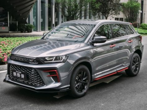 SWM Iron Man Джип/SUV 5 дв. 04.2021 - 11.2022