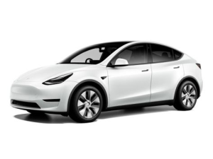 Tesla Model Y Джип/SUV 5 дв. 06.2022 - 02.2025