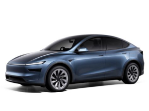 Tesla Model Y Джип/SUV 5 дв. 01.2025 -  н.в.