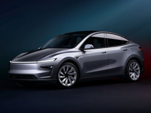 Tesla Model Y Джип/SUV 5 дв. 01.2025 -  н.в.