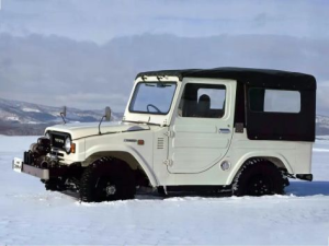 Toyota Blizzard Джип/SUV 3 дв. 04.1980 - 04.1984