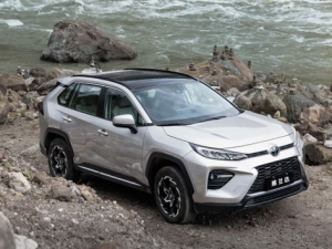 Toyota Wildlander (XA50) Джип/SUV 5 дв., Гибрид 11.2019 - 11.2025